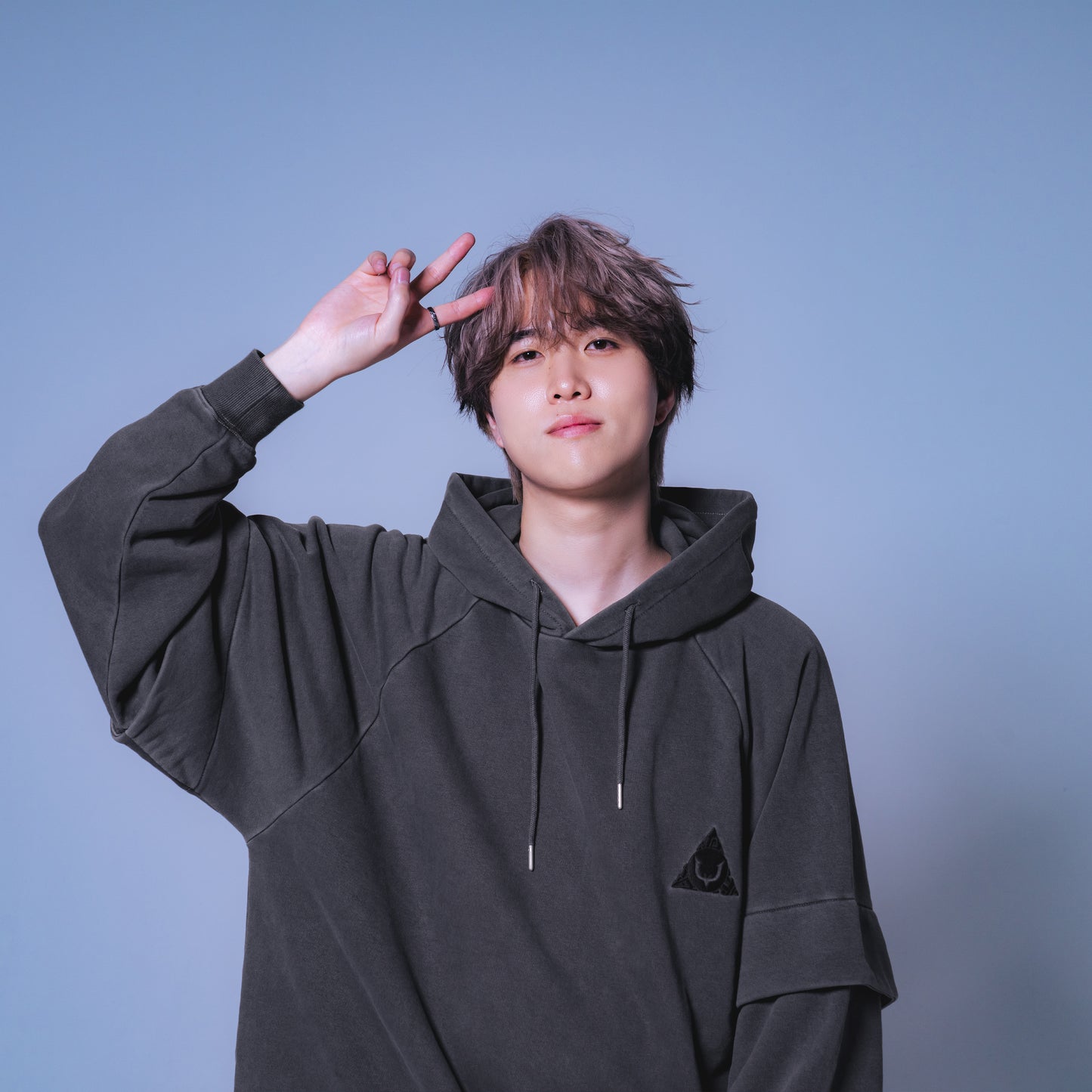 REJECT Apex div Apparel Collection vol.1 Hoodie