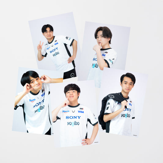 [Made to order]REJECT COAⅨ MEMORIAL BROMIDE SET