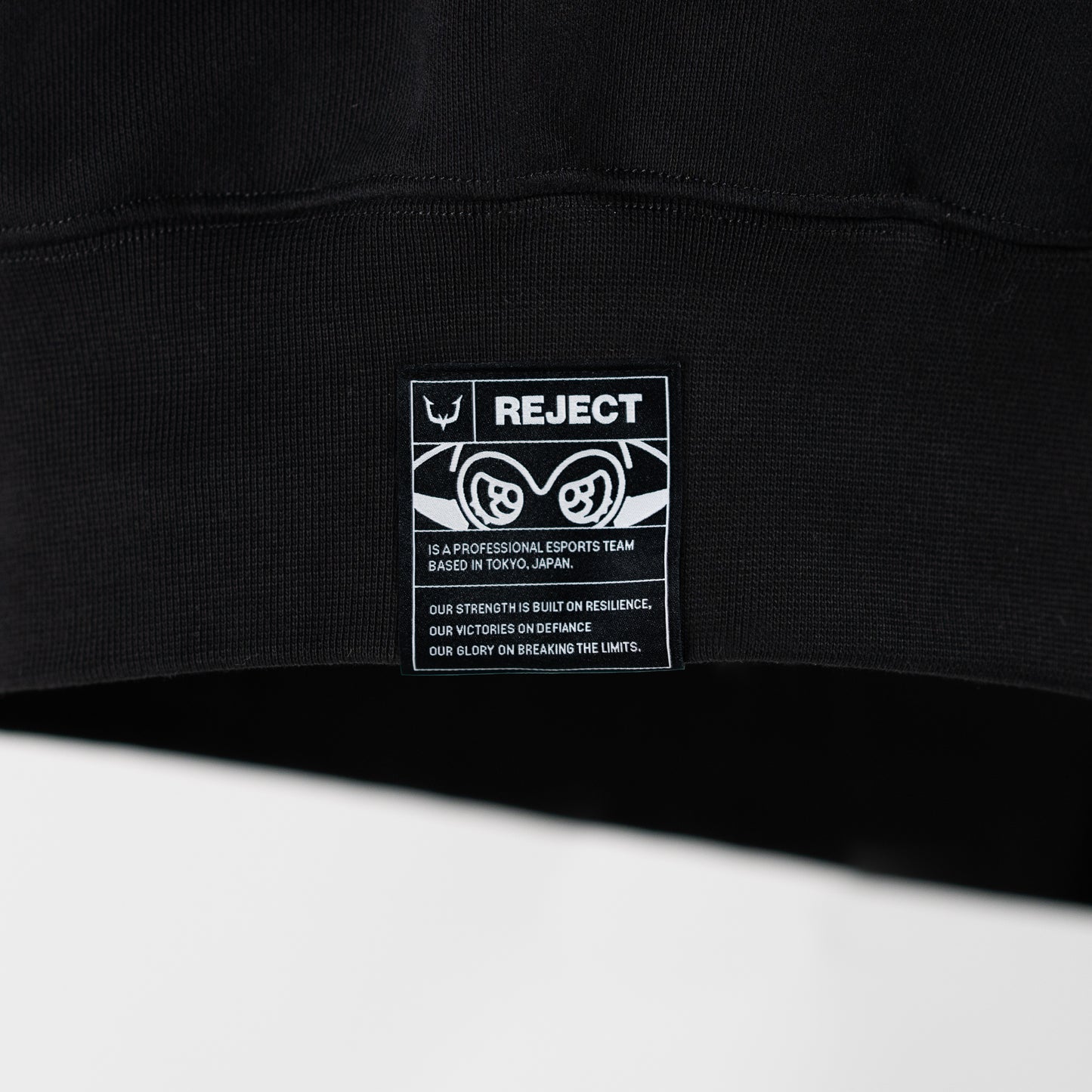 REJECT STANDARD HOODIE