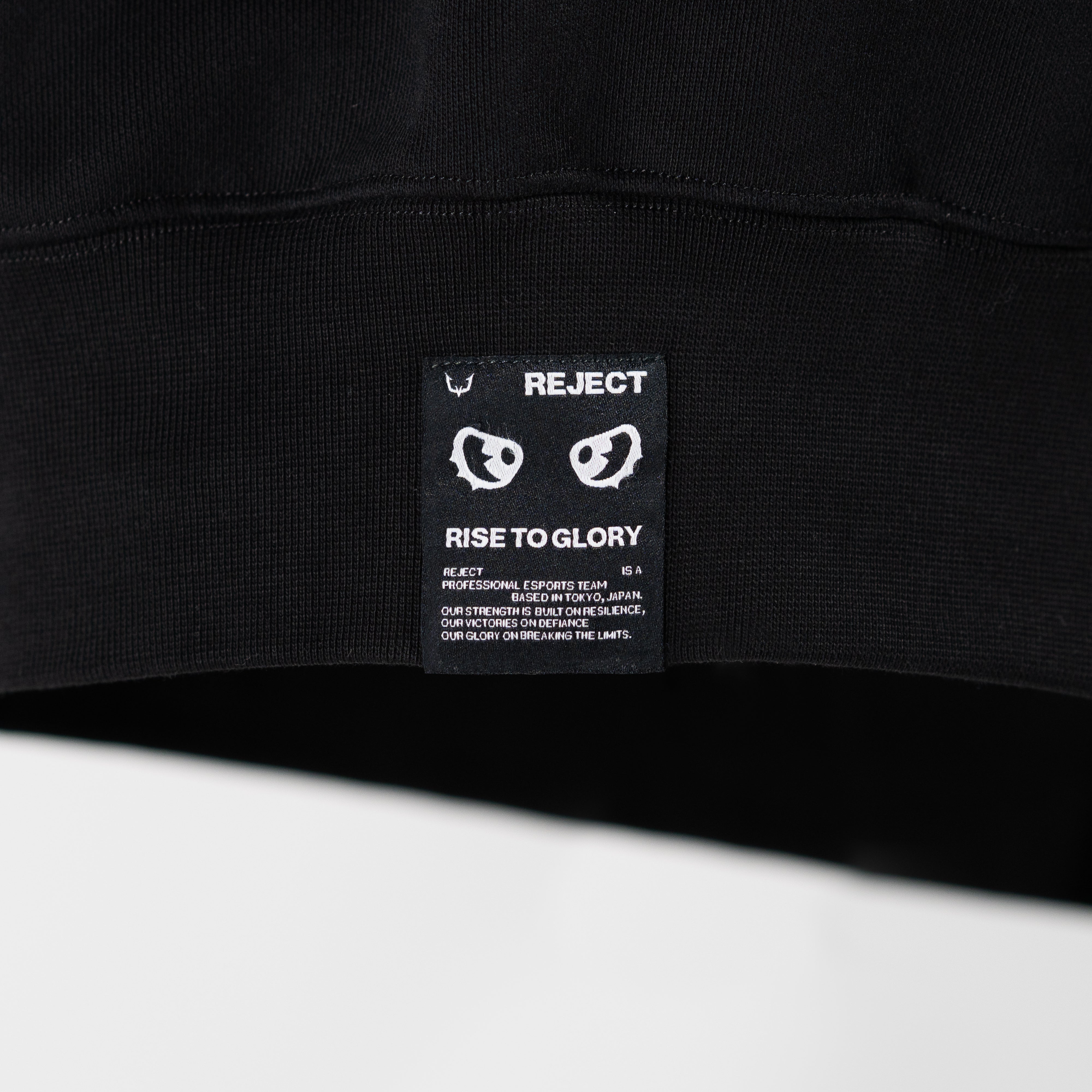 REJECT STANDARD HOODIE
